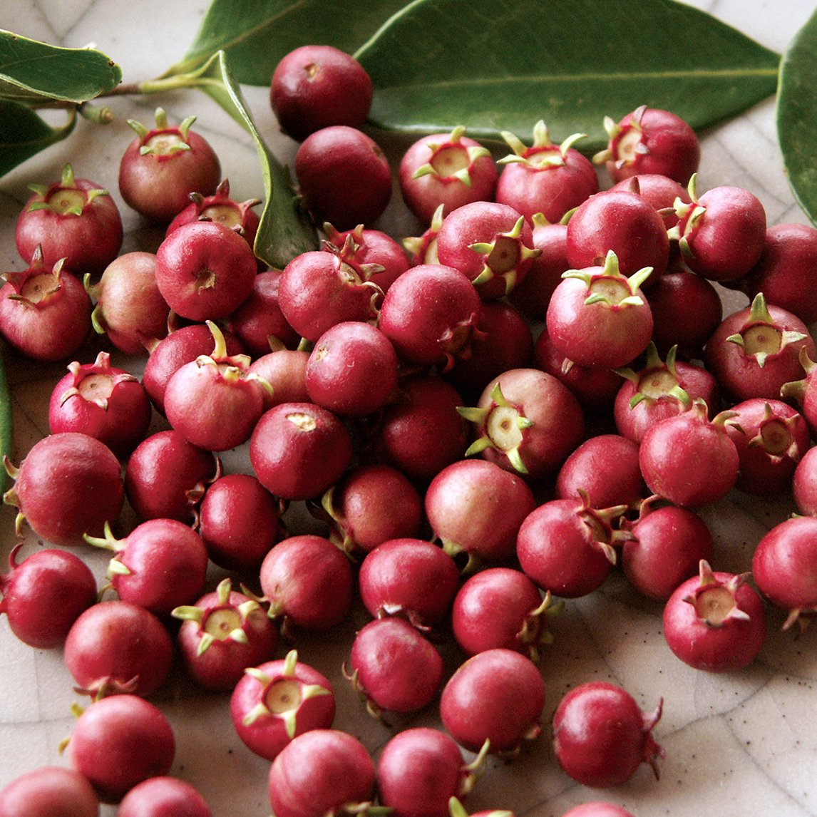 Chilean Guava