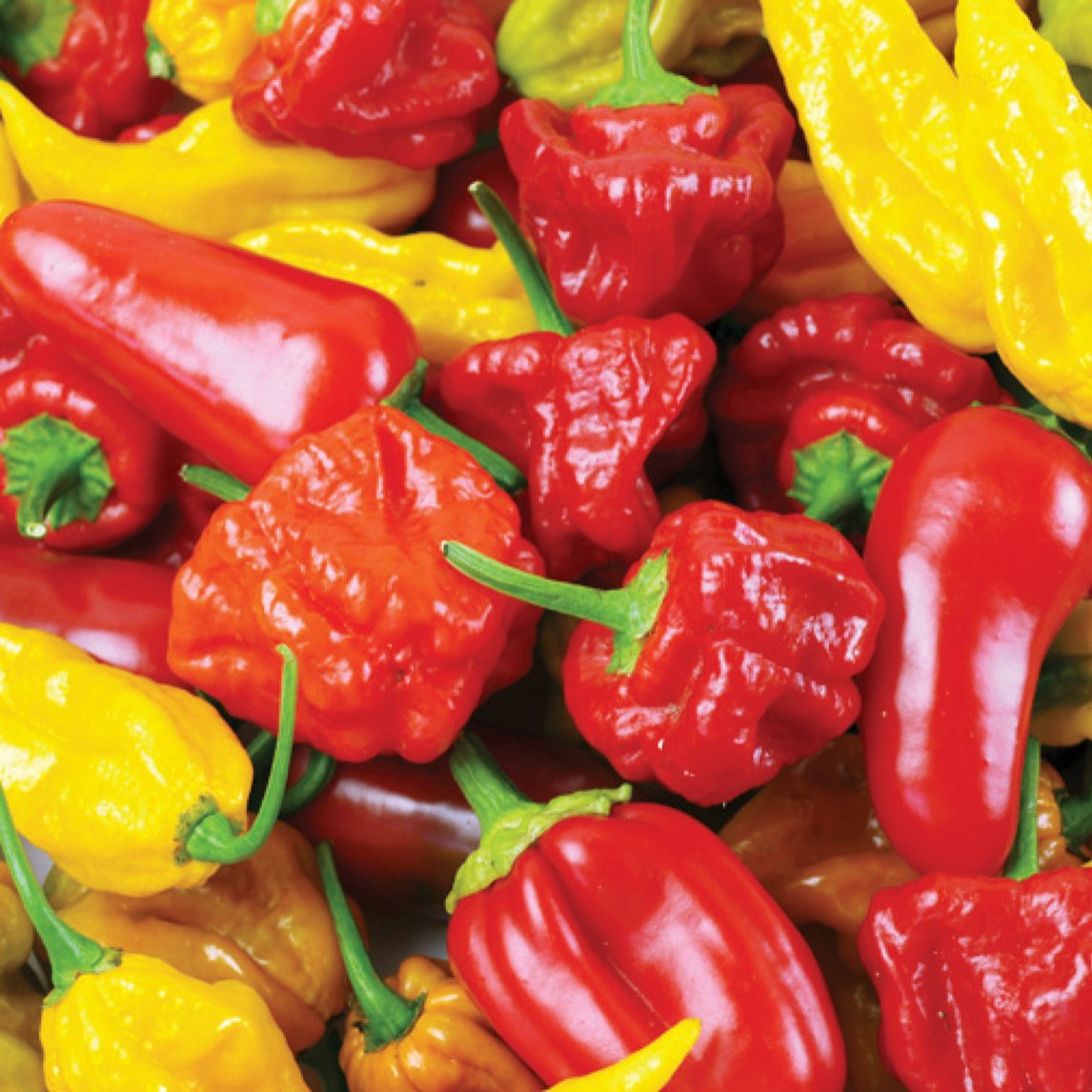 Chilli Hellfire Mix