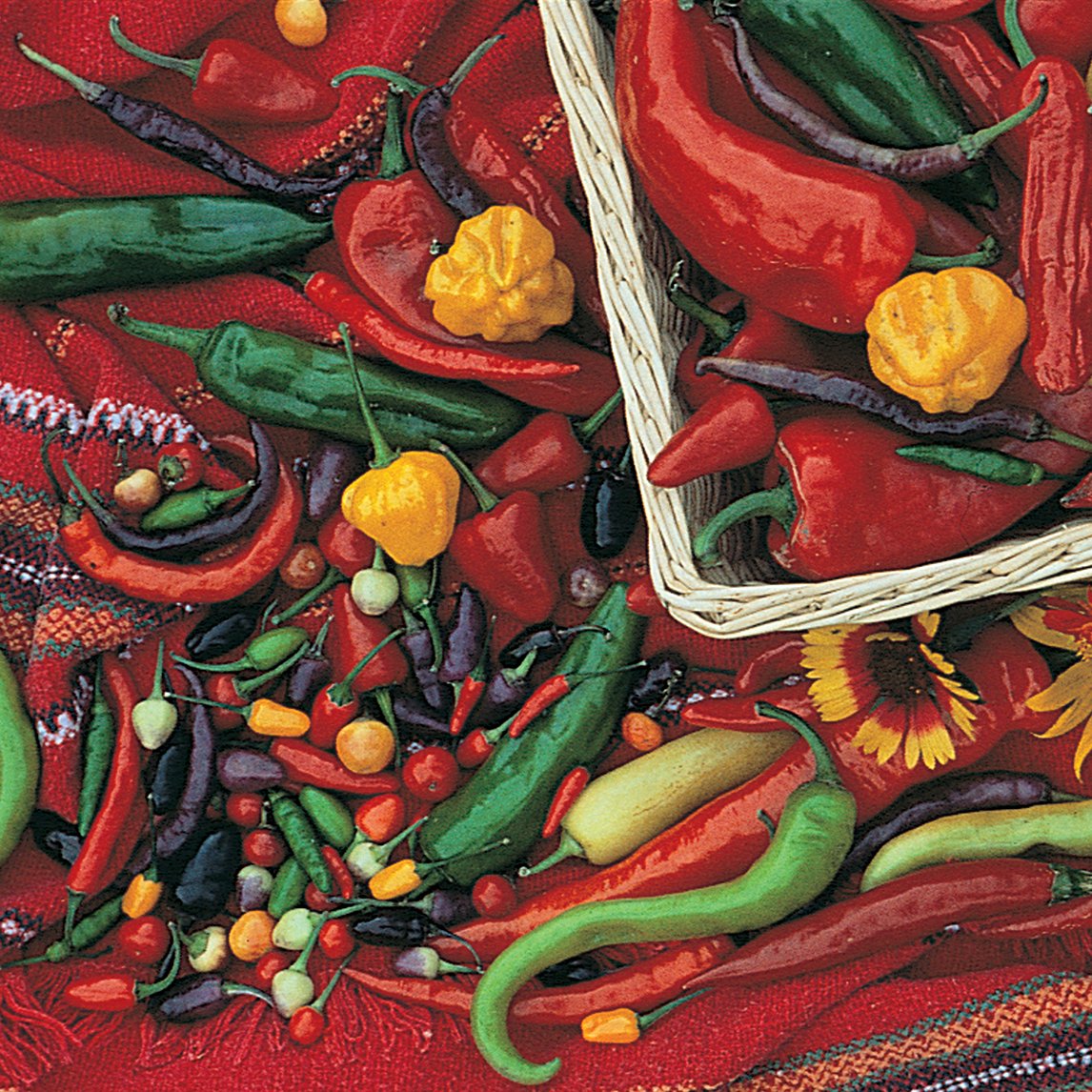 Chilli Mild Mannered Mix