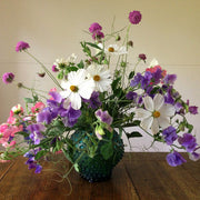Cool Cut Flower Seed Collection
