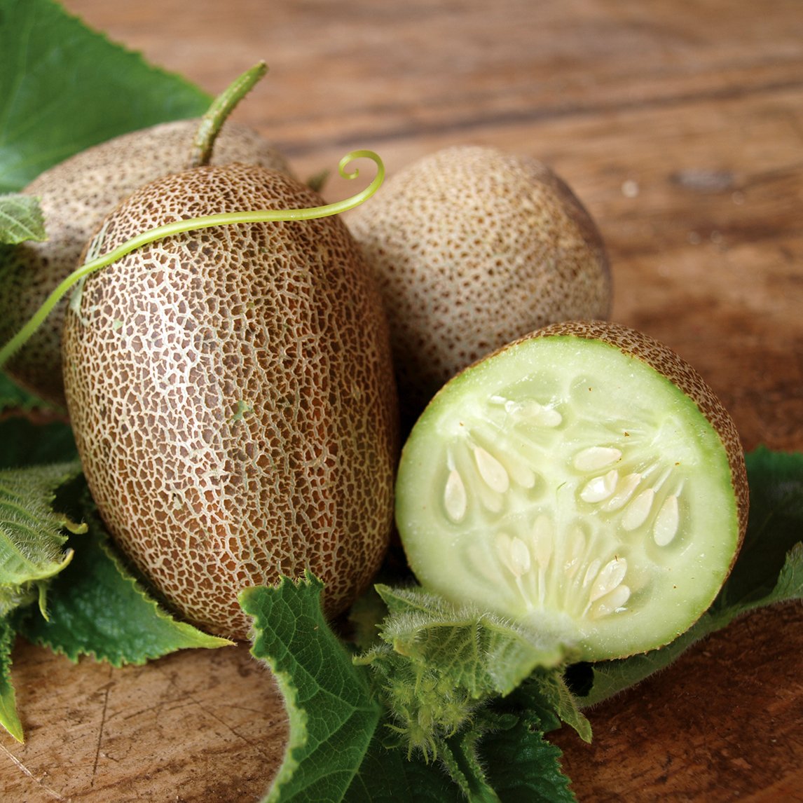 Cucumber 'Little Potato' Organic
