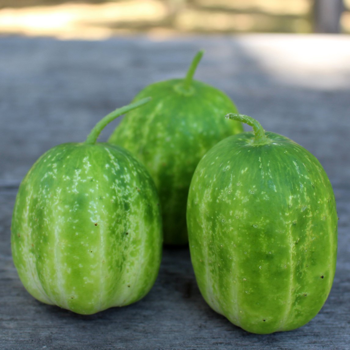 Cucumber 'Richmond Green Apple'