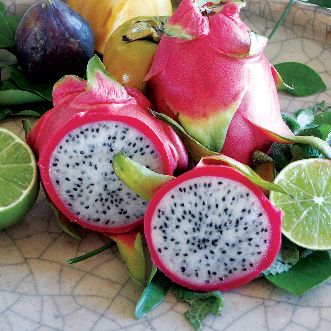 Dragon Fruit 'Pearl'