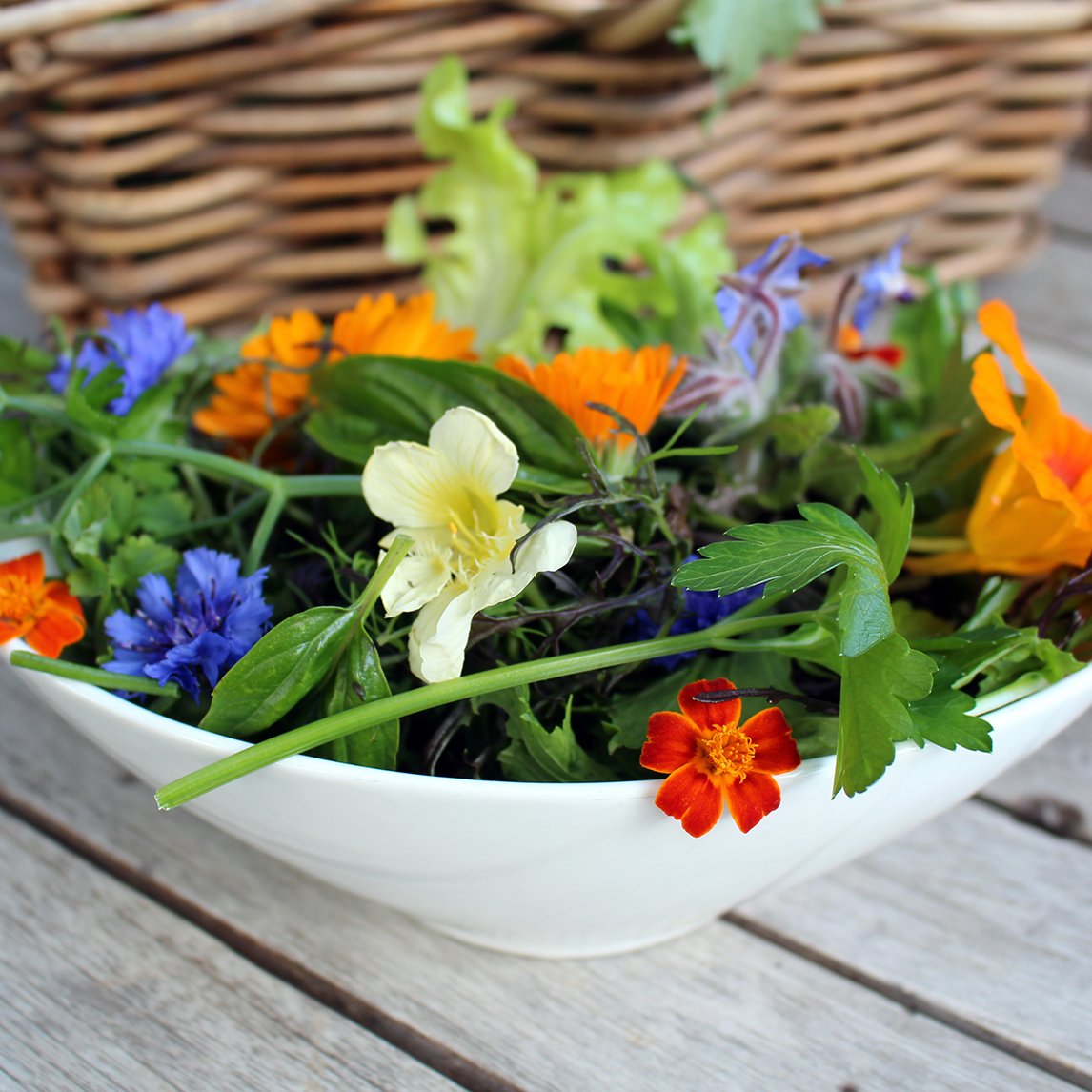 Edible Flowers Seed Gift Box
