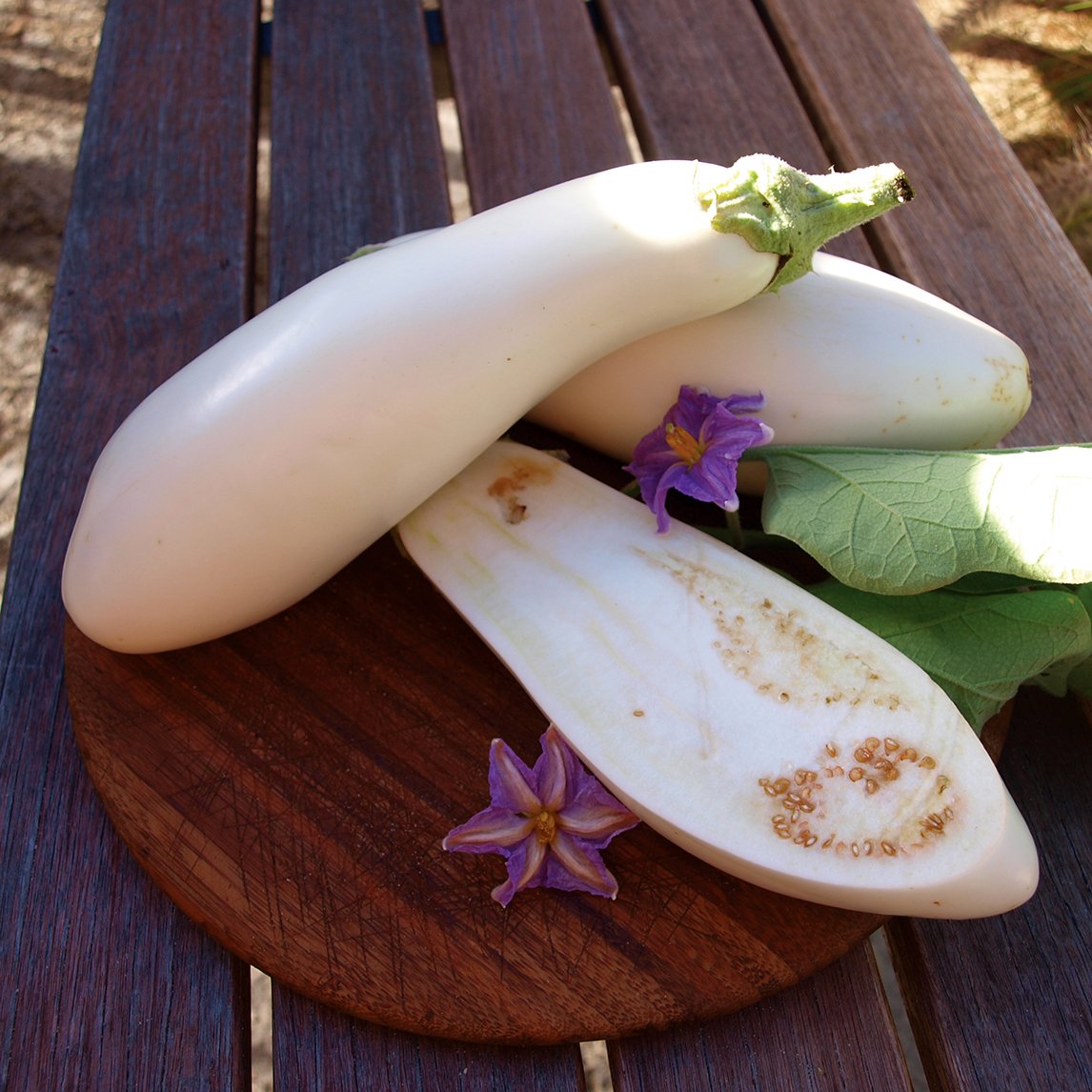 Eggplant 'Casper'