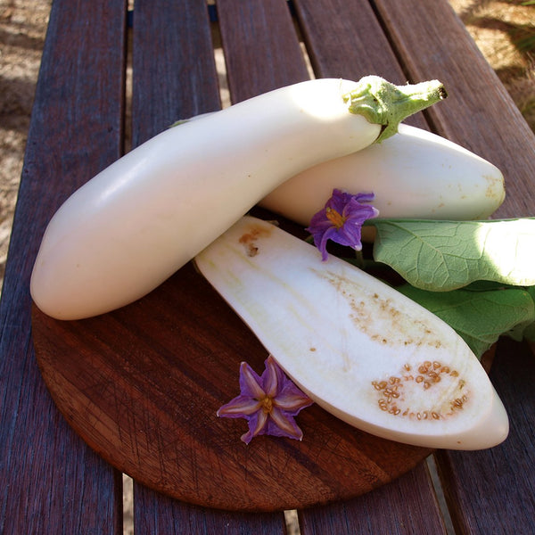 Eggplant 'Casper' - The Diggers Club