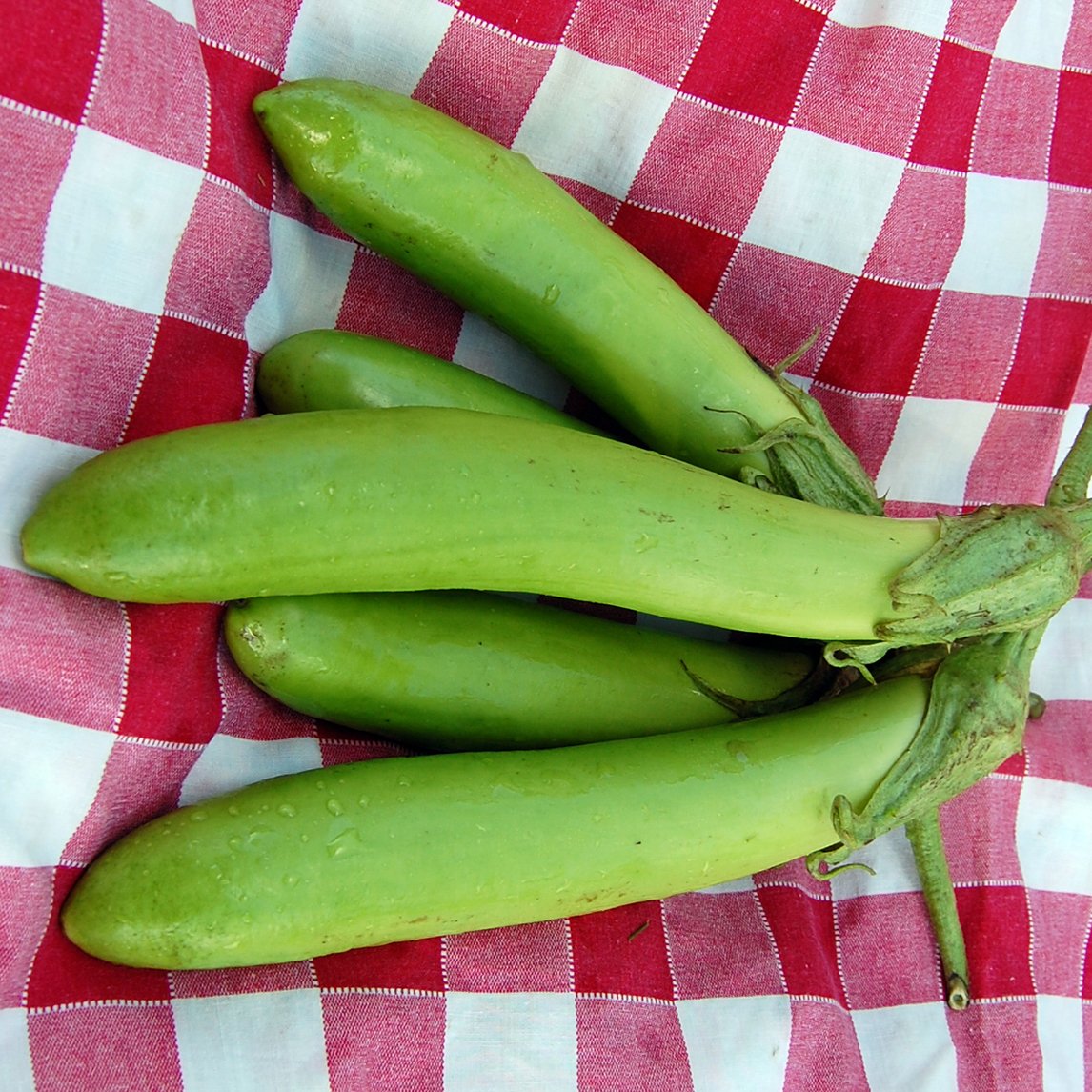 Eggplant 'Thai Long Green' (Organic)