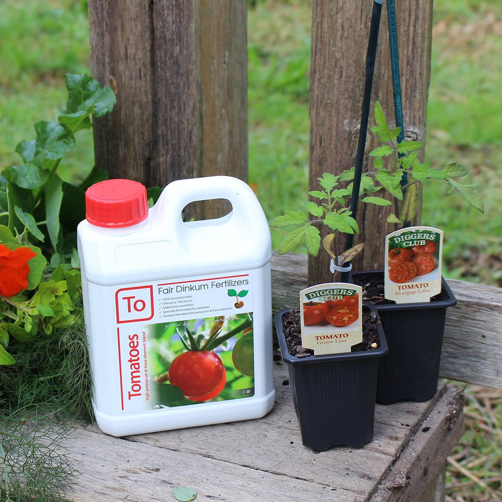 liquid tomato plant fertilizer Fair Dinkum Liquid Seaweed For Tomatoes