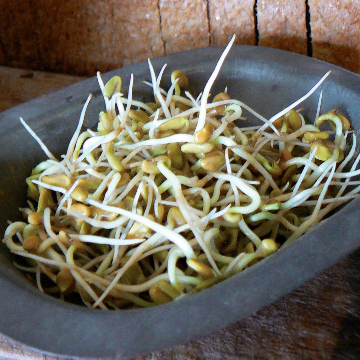 Fenugreek Sprouts (Organic)