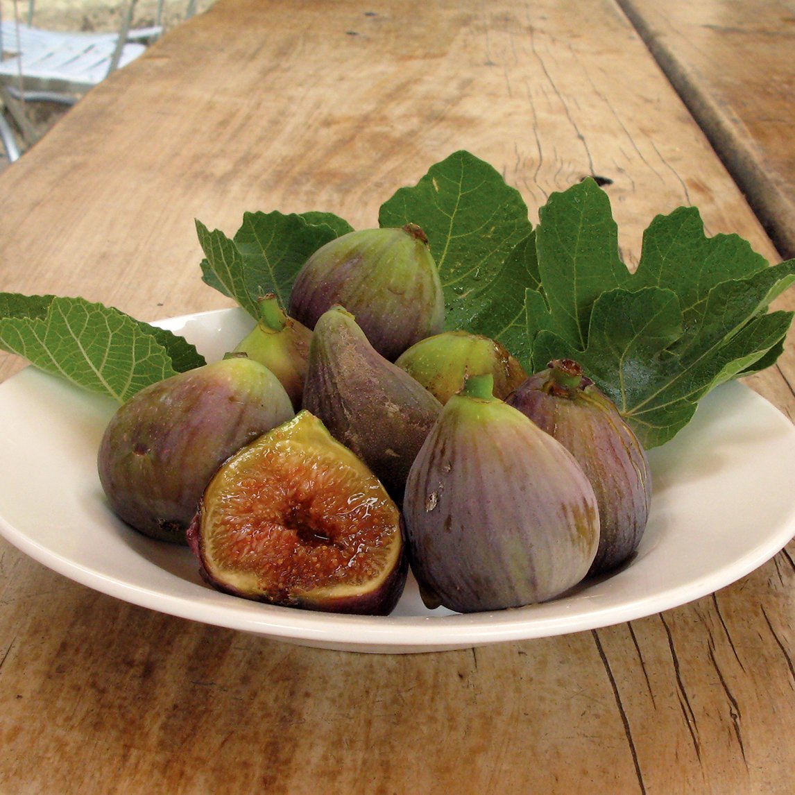 Fig Trees - The Diggers Club