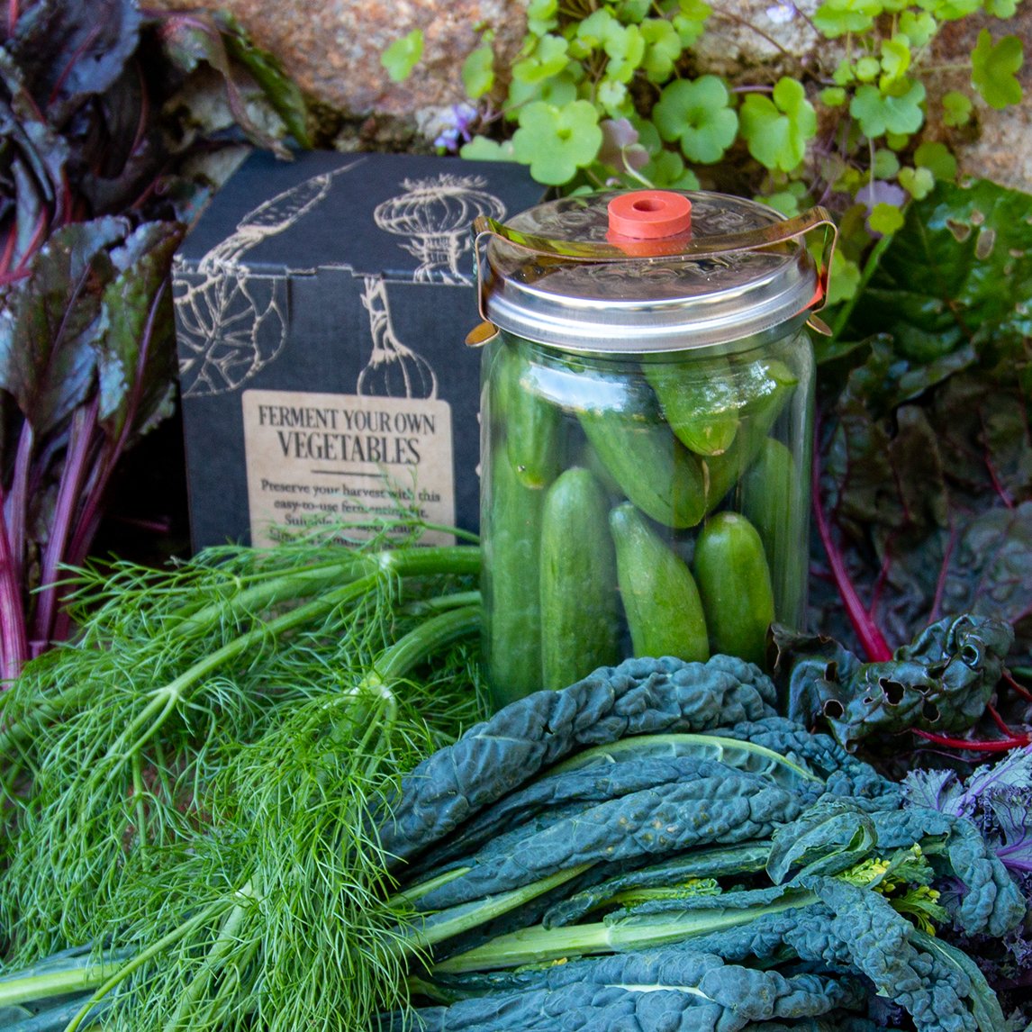 Fowlers Preserving Kit