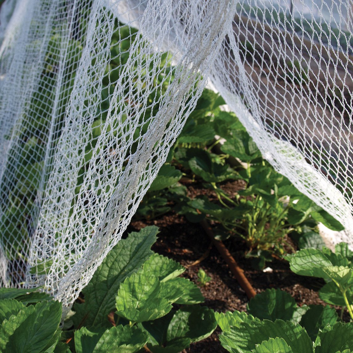 Garden Netting (White)