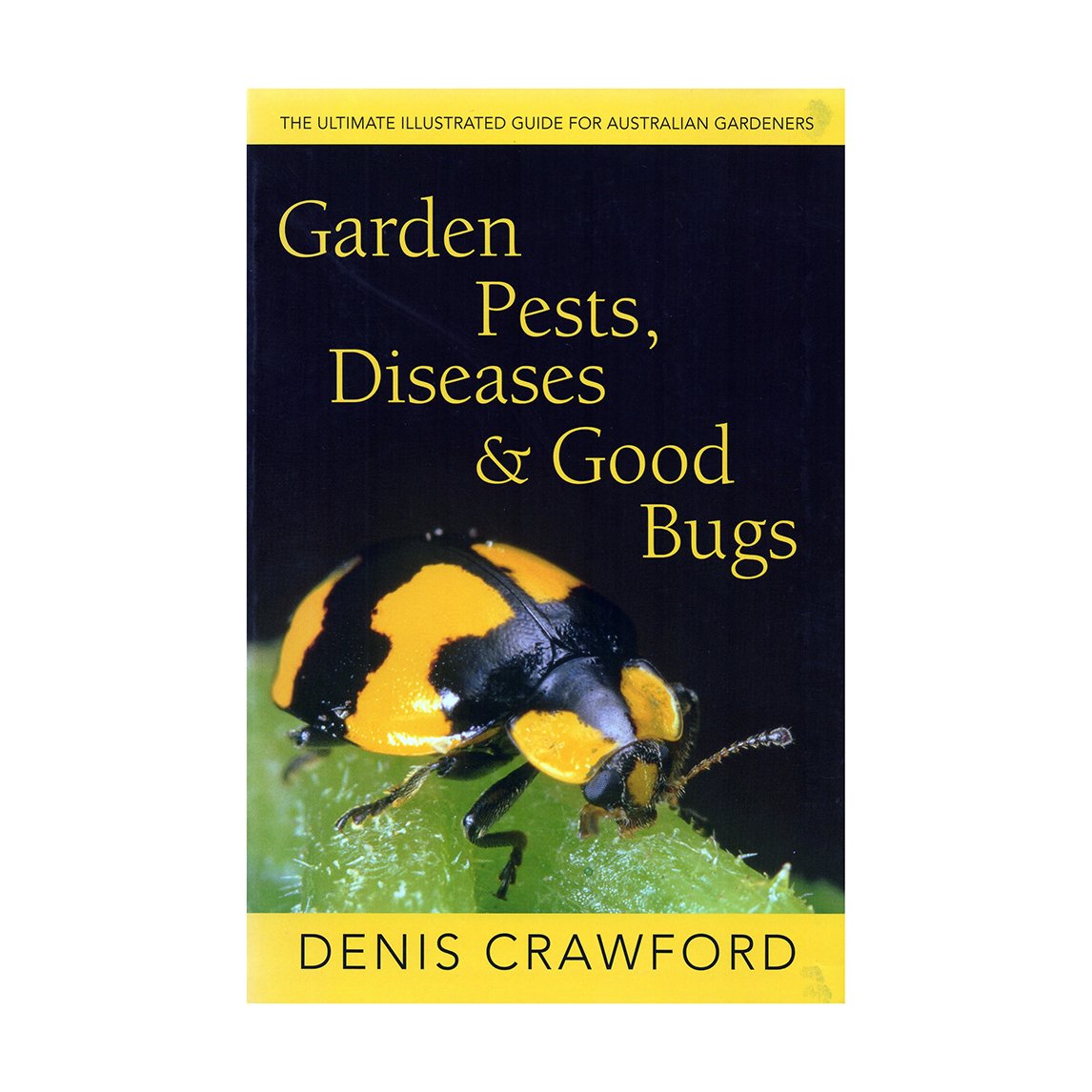 Garden Pests, Diseases And Good Bugs