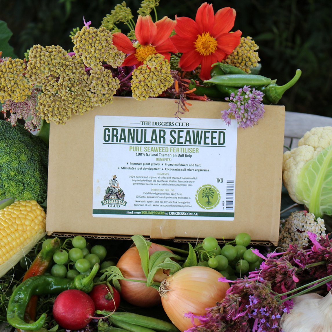 Granular Seaweed - Organic Bull Kelp 1kg