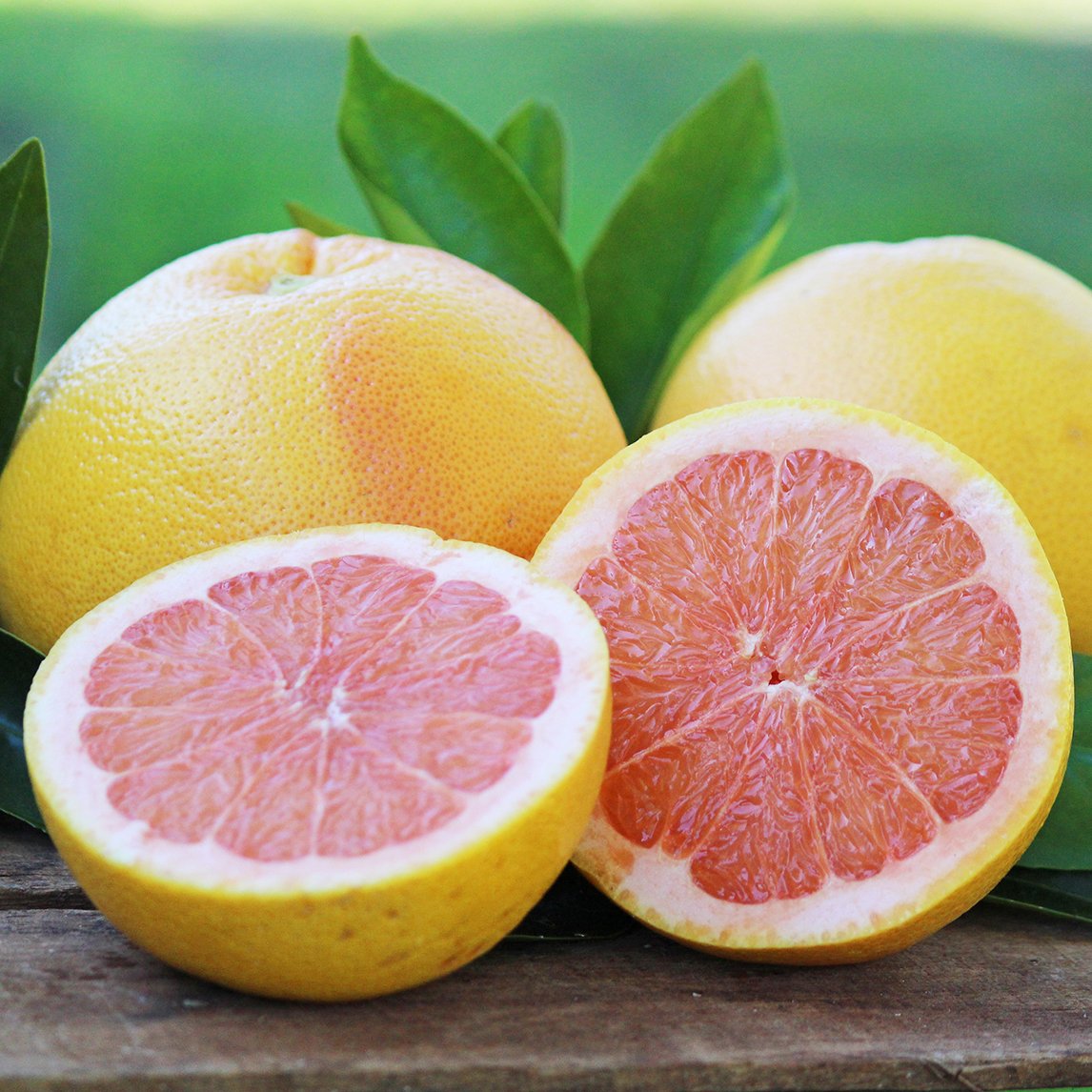 Grapefruit 'Star Ruby' - The Diggers Club