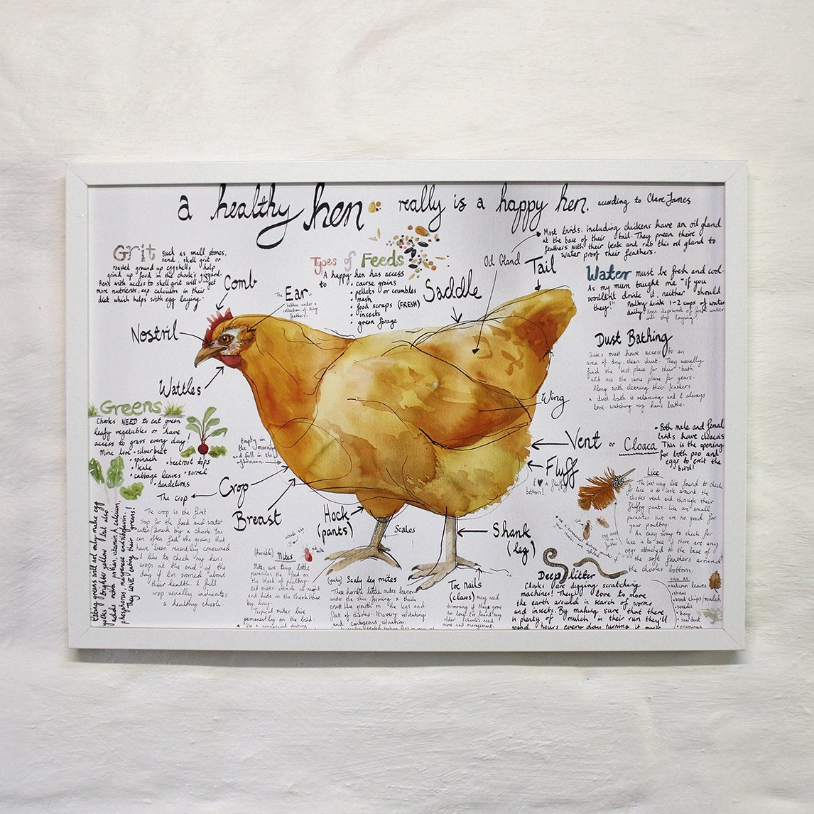 Healthy Hen Poster