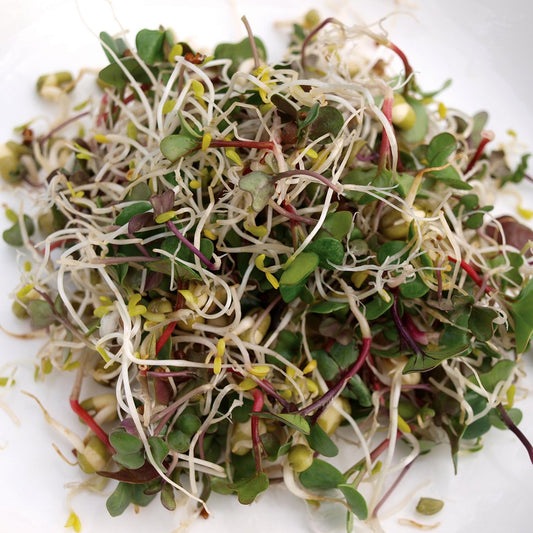 Healthy Sprout Mix
