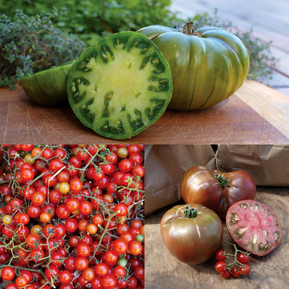 Beefsteak-Style Tomato Collection