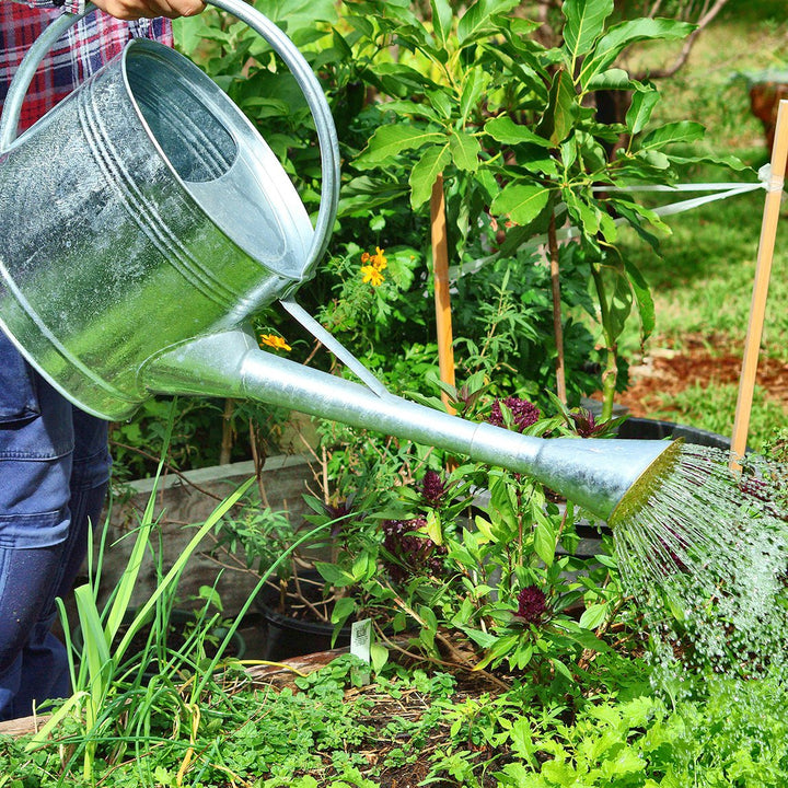 Heirloom Gal Watering Can