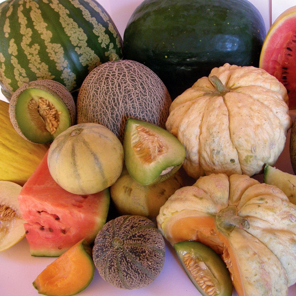 Heirloom Melon Collection