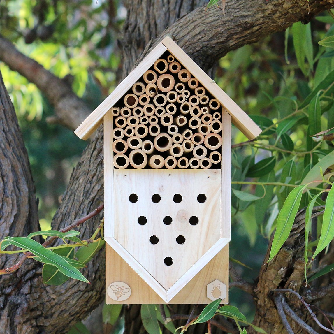 Insect House