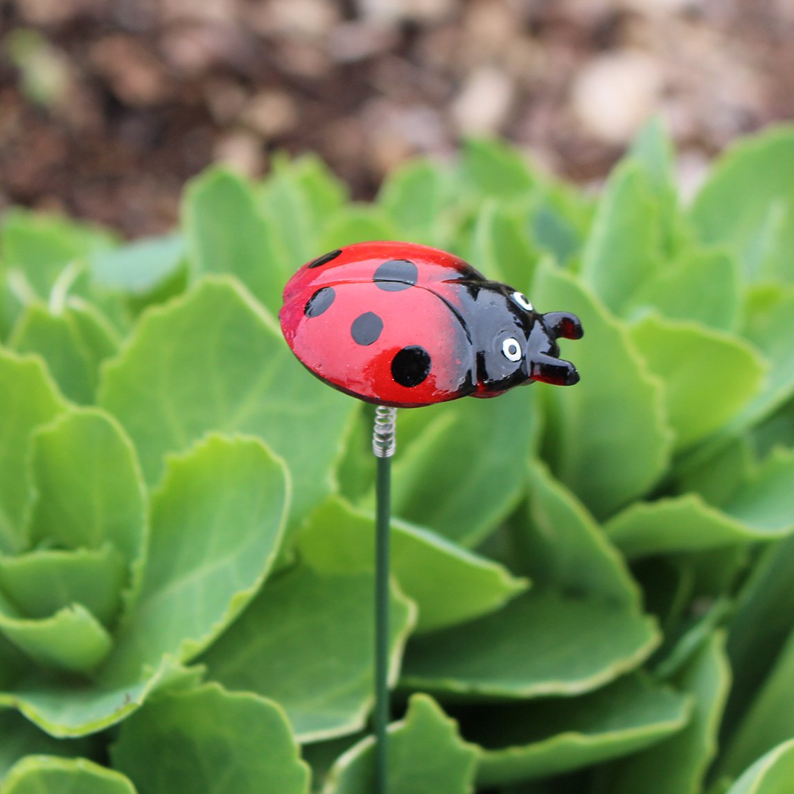 Ladybird on a Stick
