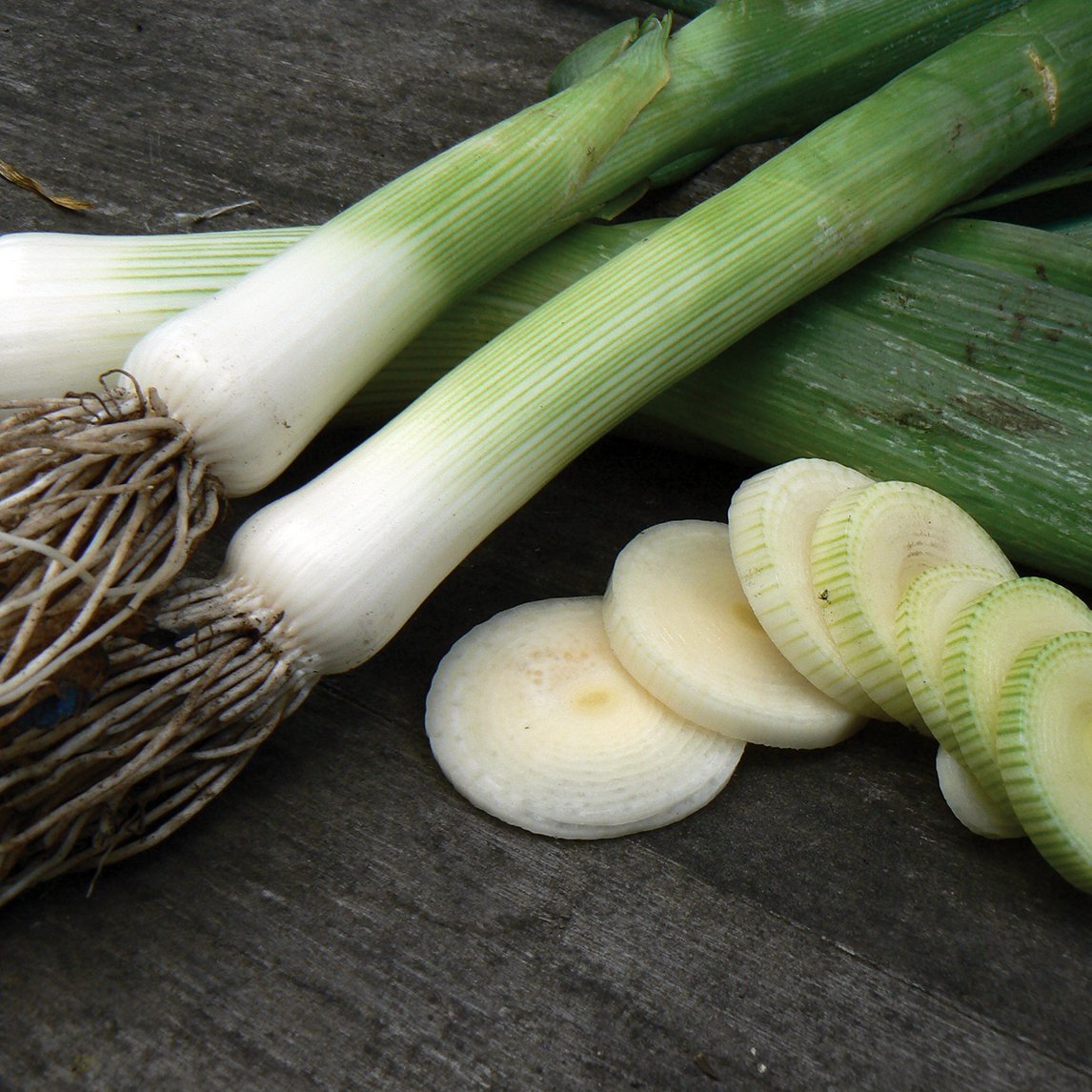 Leek 'Mammoth Blanch'