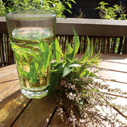 Lemon Verbena