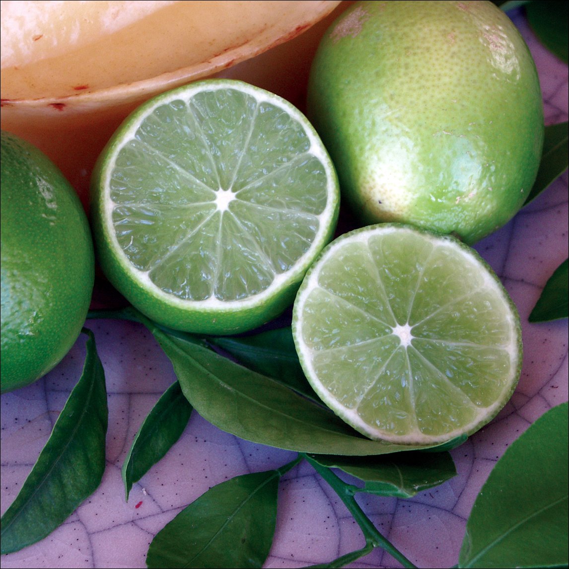 Lime 'Tahitian'