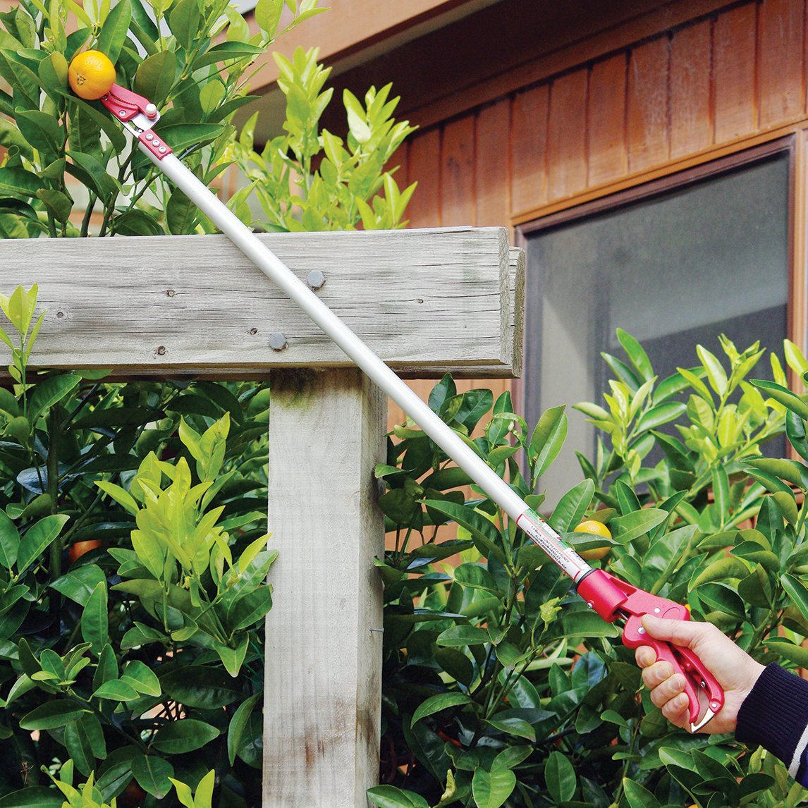 Long Reach Cut And Hold Picker