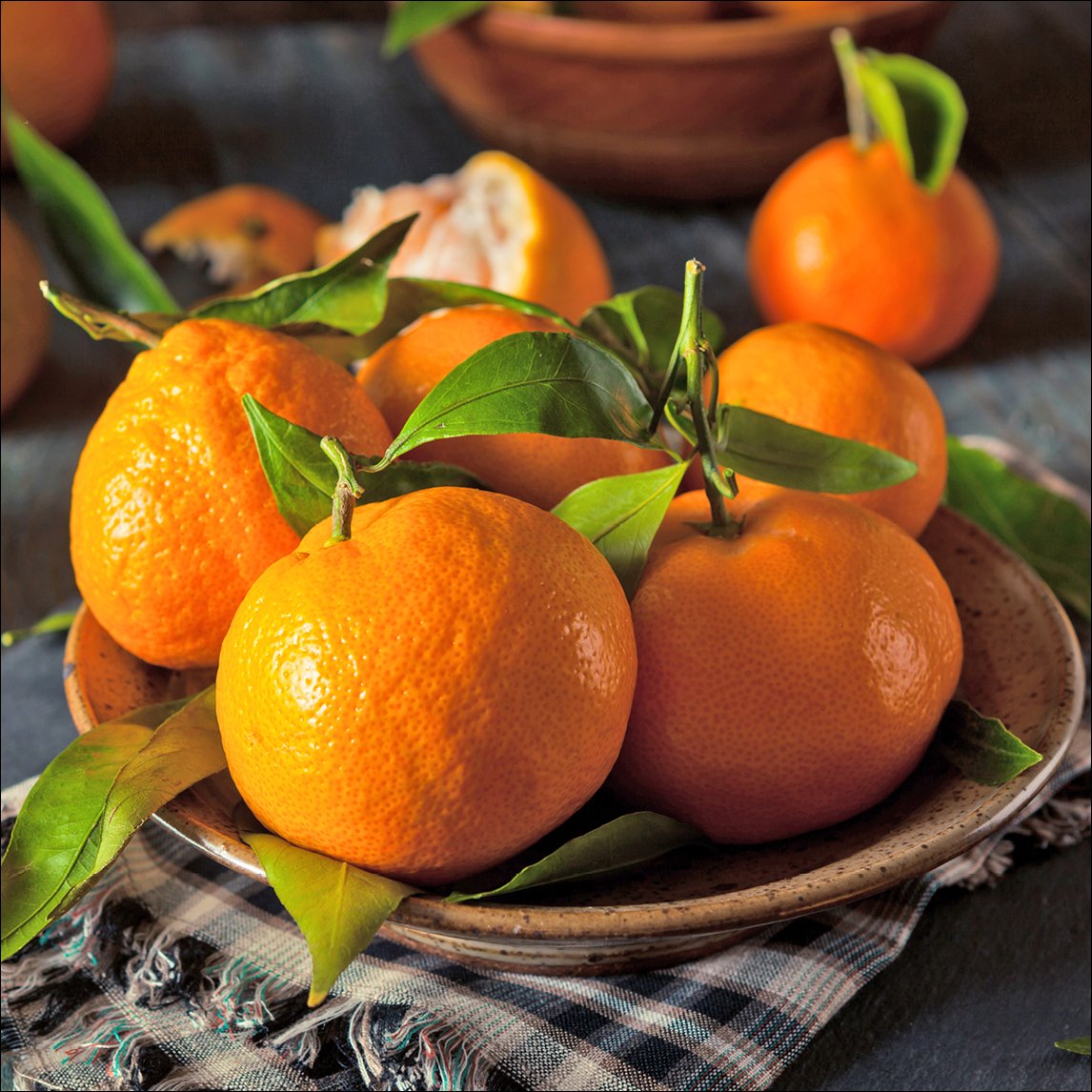 Mandarin 'Satsuma Okitsu'