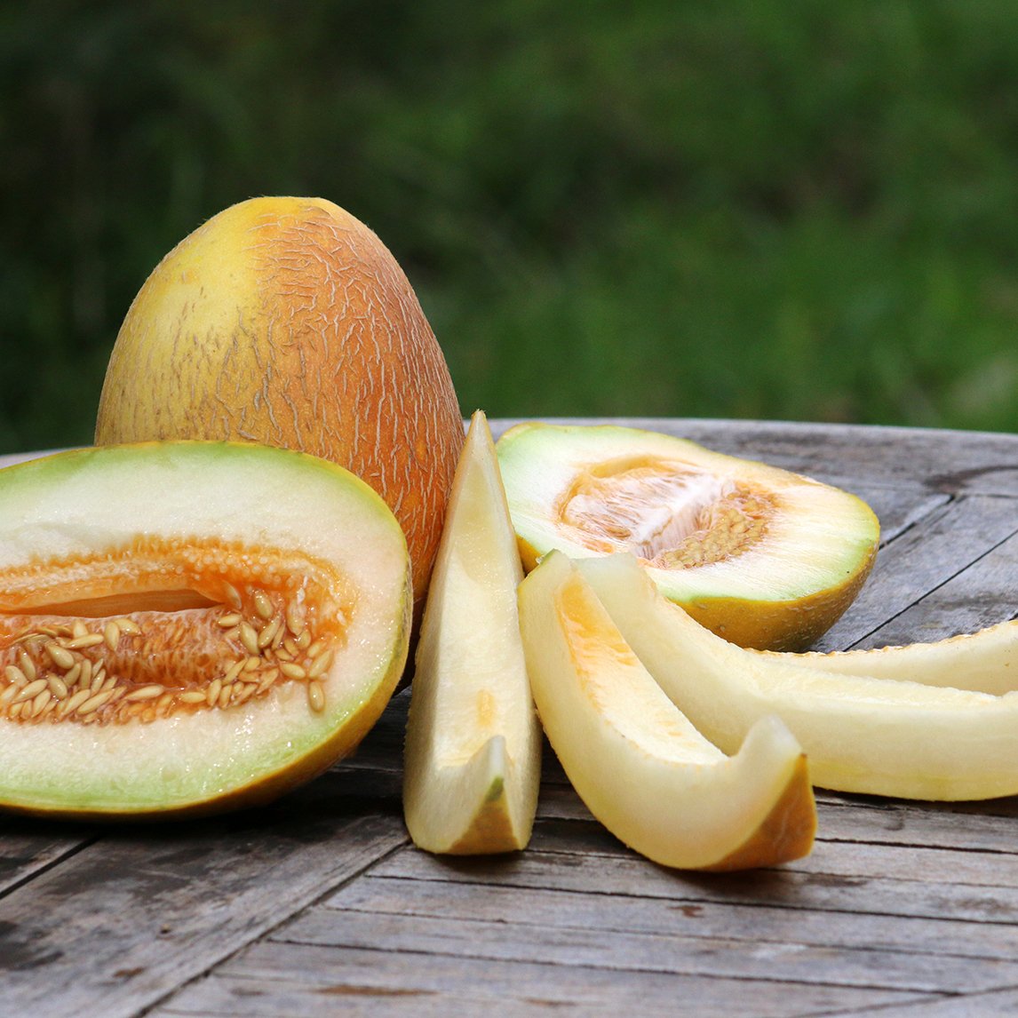 Rockmelon &#39;Sharlyn&#39; (Organic)
