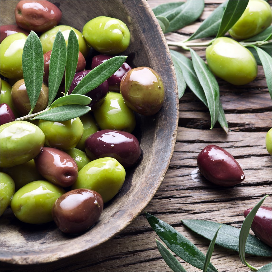 Olive 'Picual'