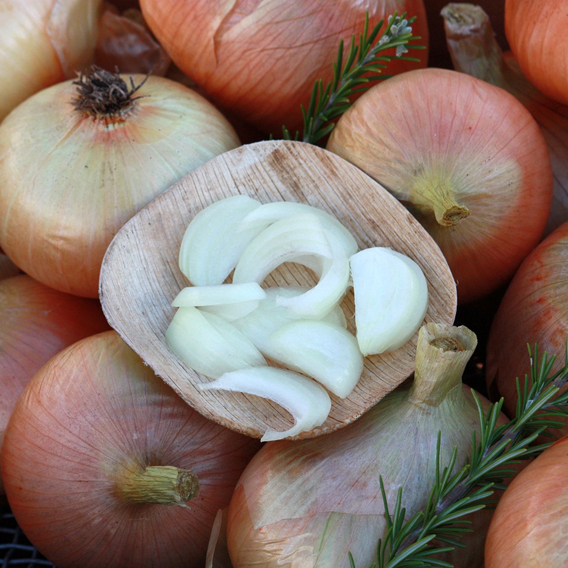 Onion &#39;Sweet Domenica&#39;