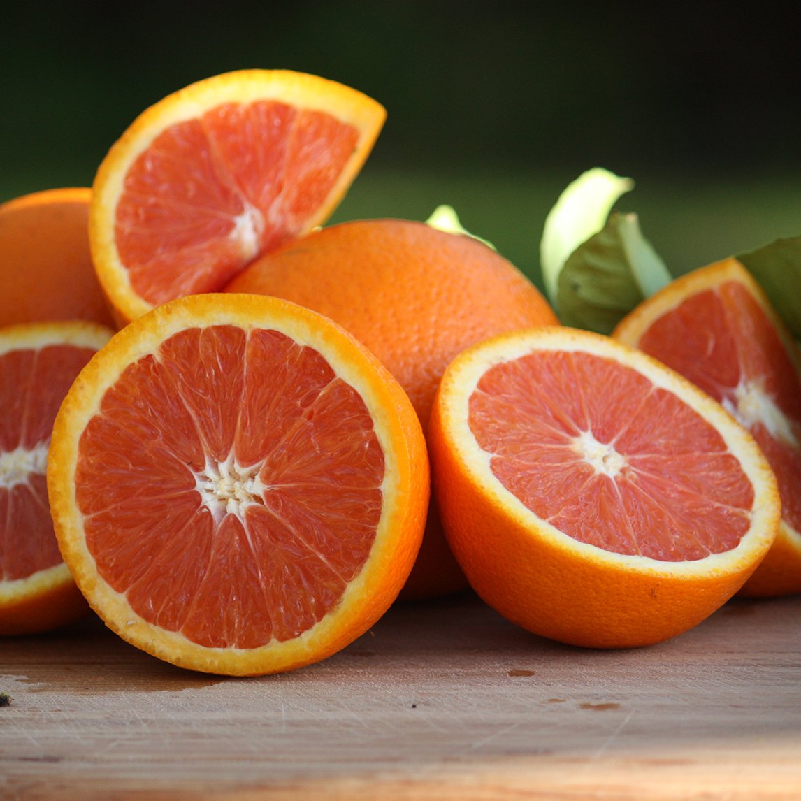 Orange 'Cara Cara Navel' - Citrange