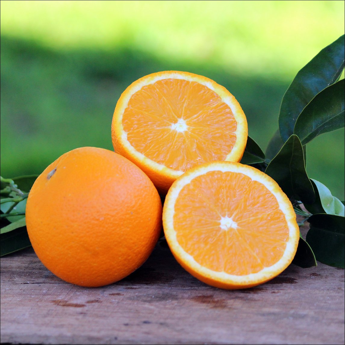 Orange 'Washington Navel'