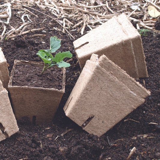 Peat Pots Large x 12