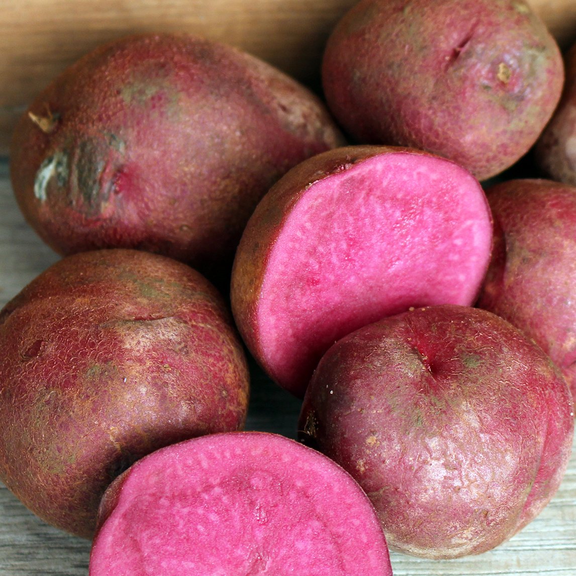 Seed Potato - 'Burgundy Blush'