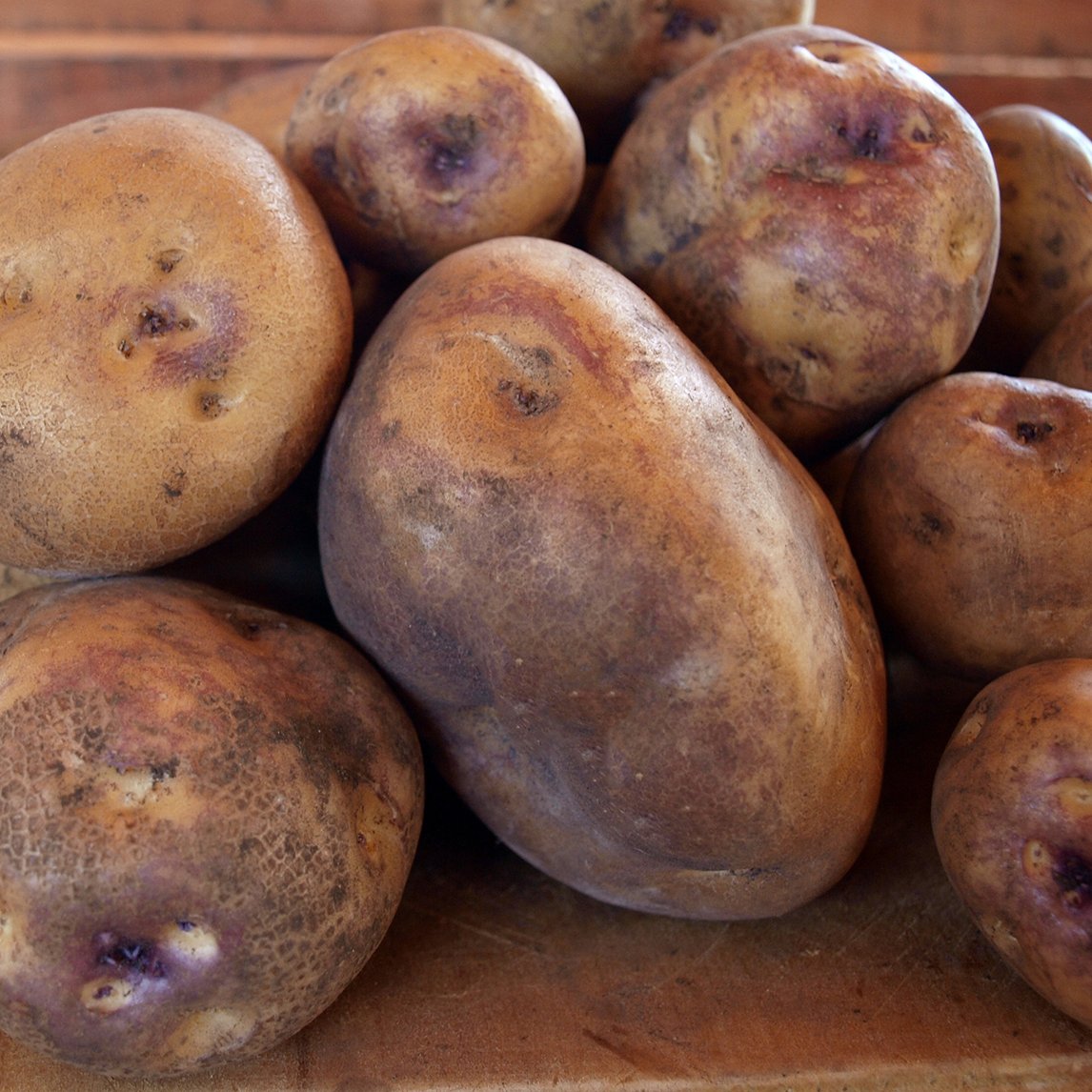 Seed Potato 'Pink Eye'