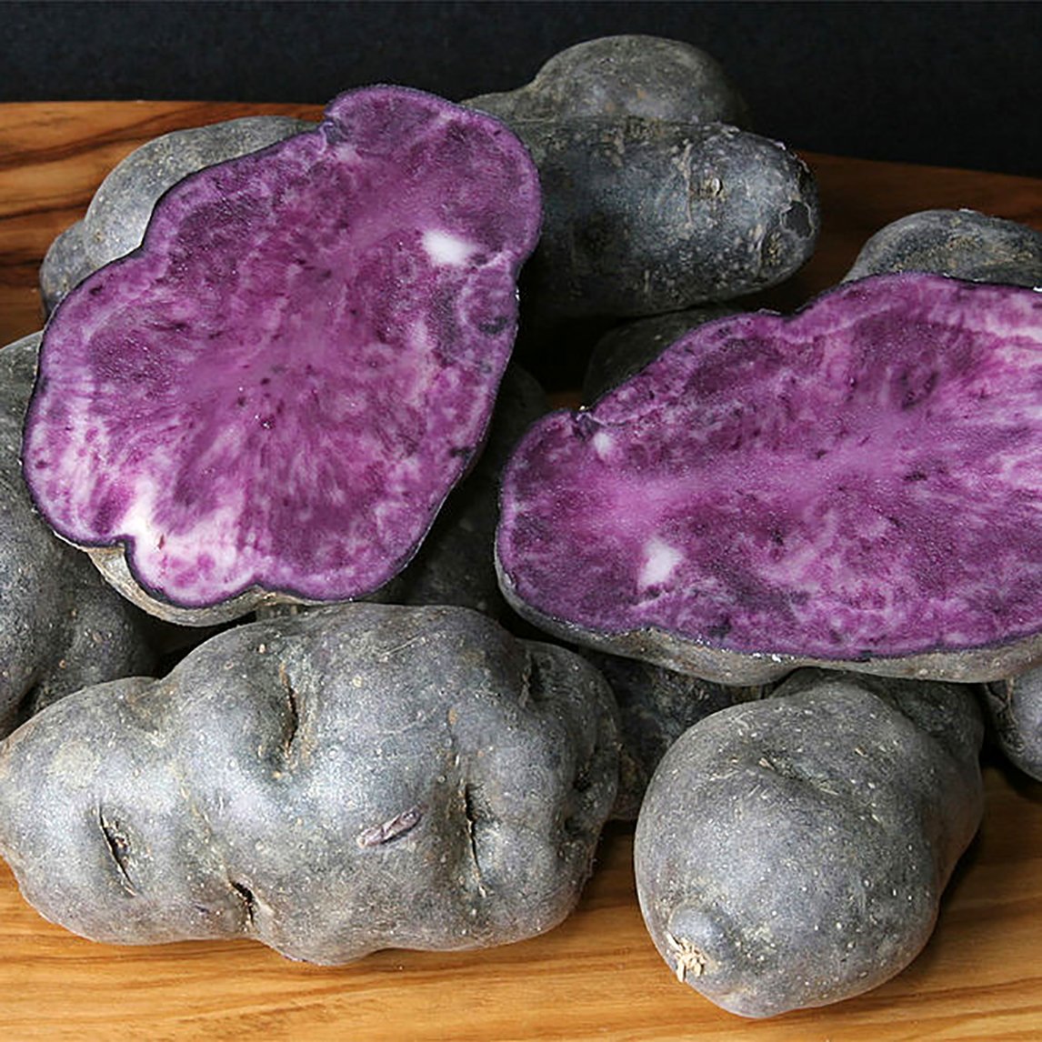 Seed Potato &#39;Purple Congo&#39;