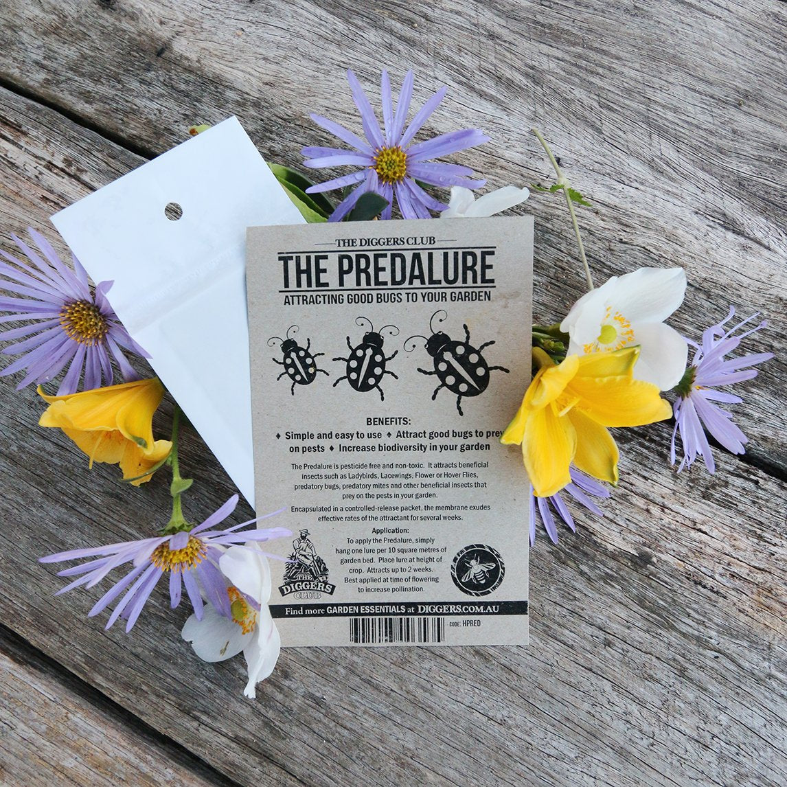 Predalure - Attract Good Bugs