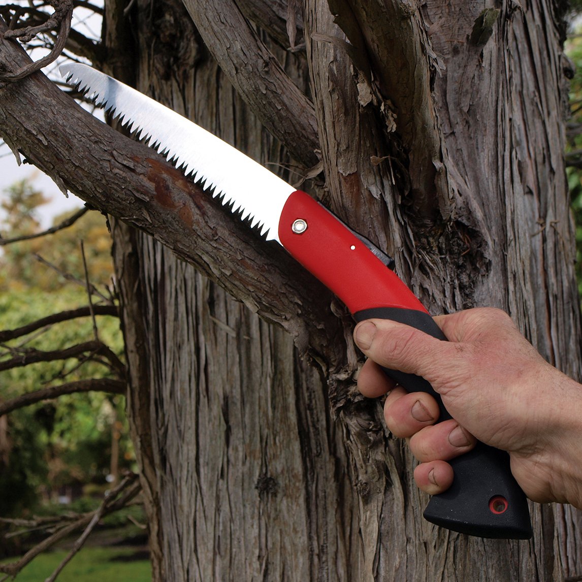 Pruning Saw