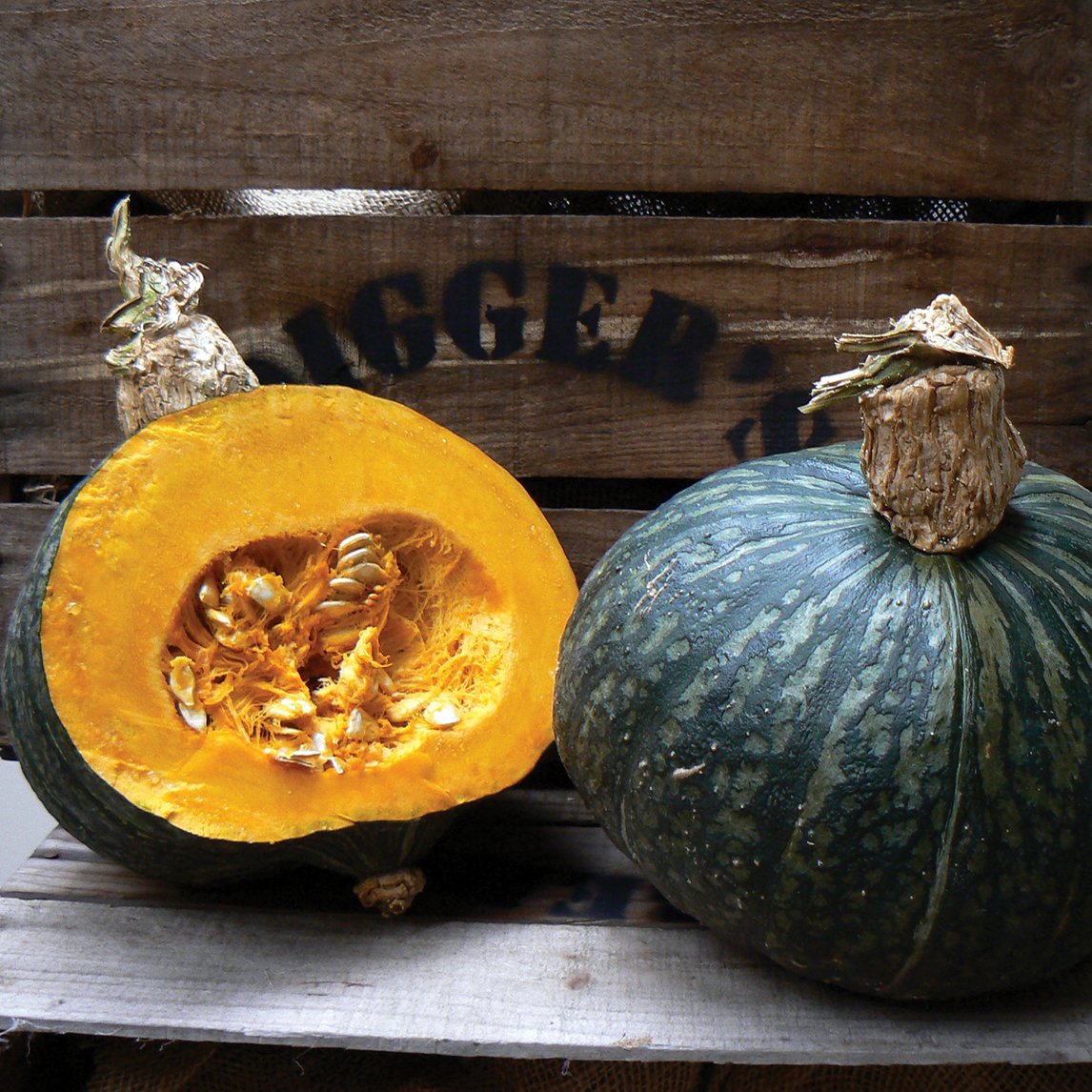 Pumpkin 'Anna Swartz'