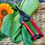 Quality Pruning Snips
