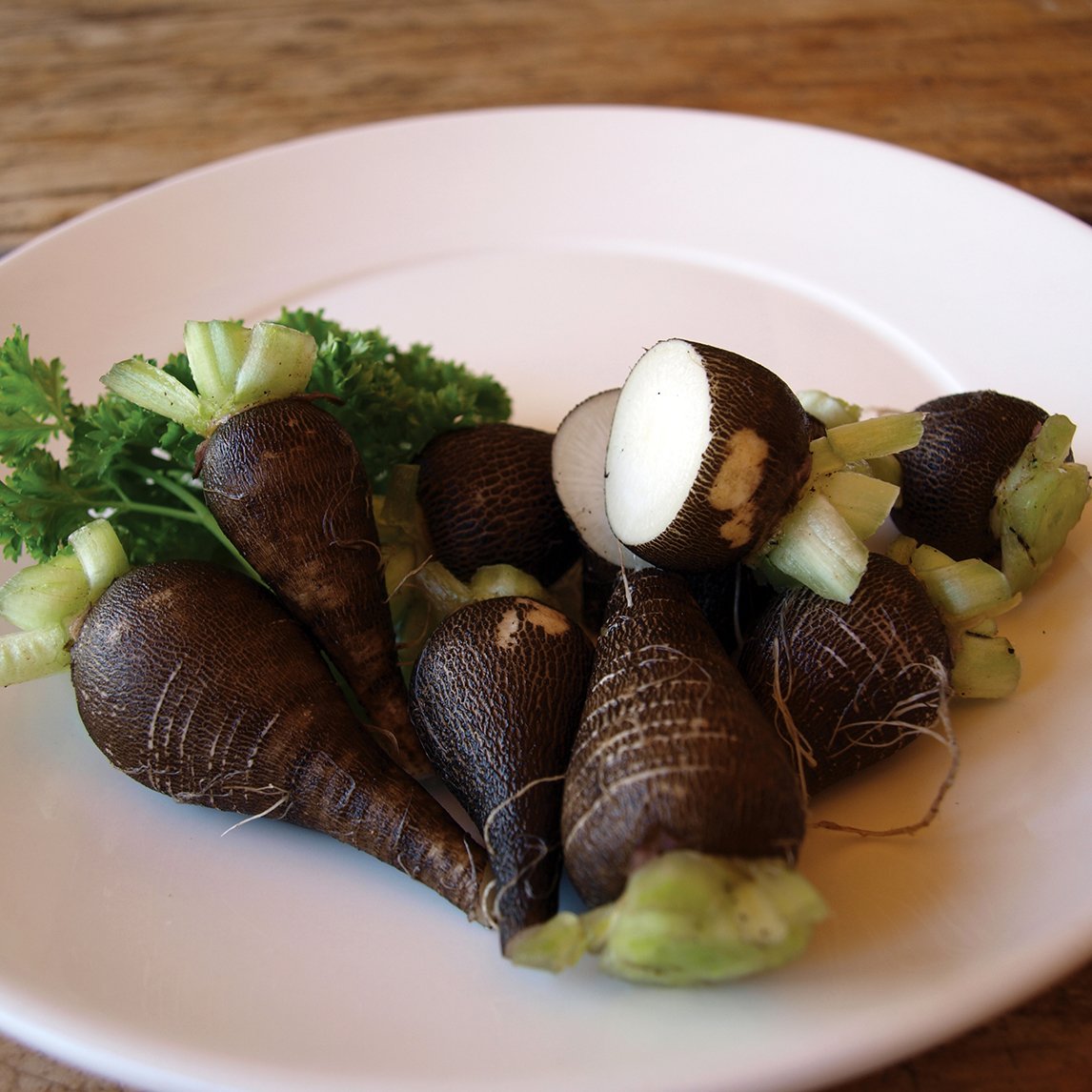 Radish 'Black Spanish'