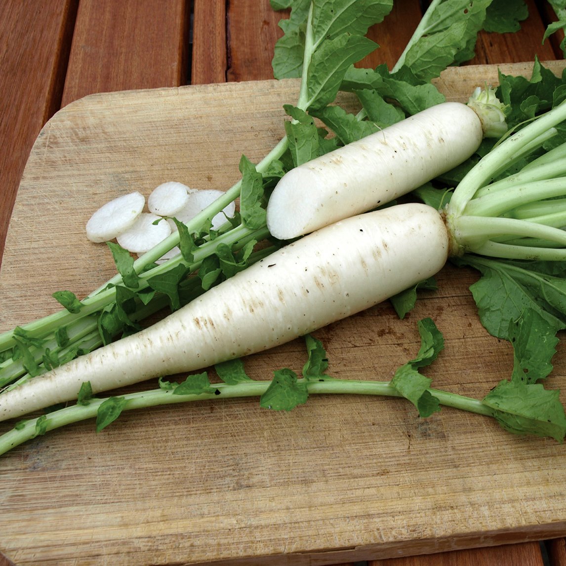 Radish 'Daikon White Miyashige' (Organic)