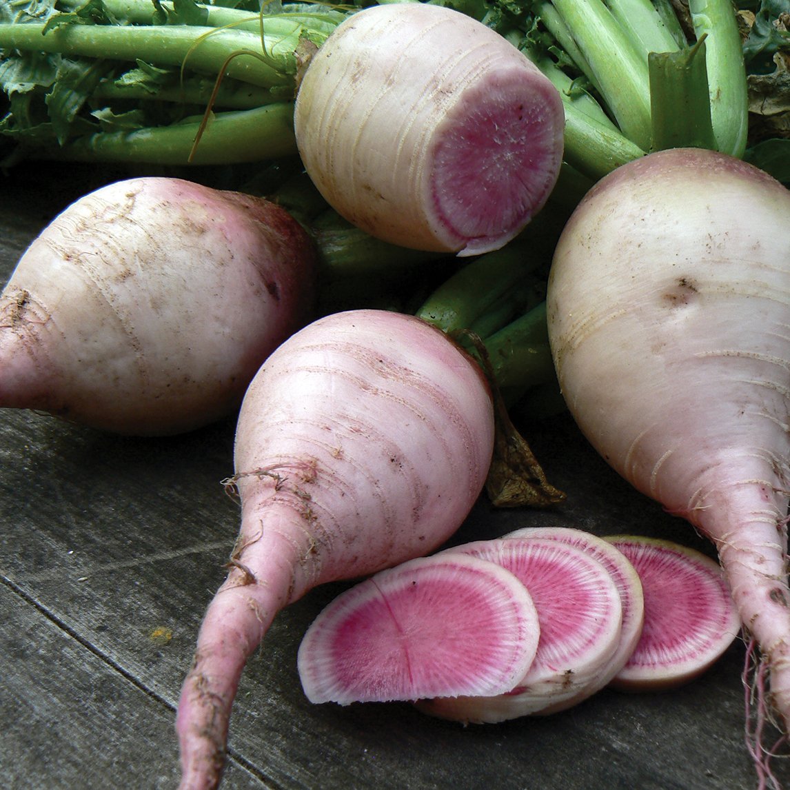 Radish 'Watermelon'