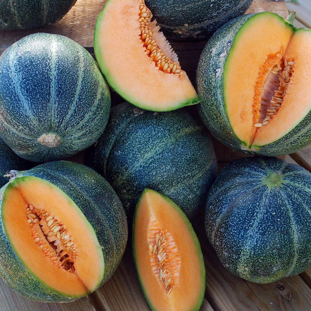Rockmelon Color Rockmelon - The Diggers Club