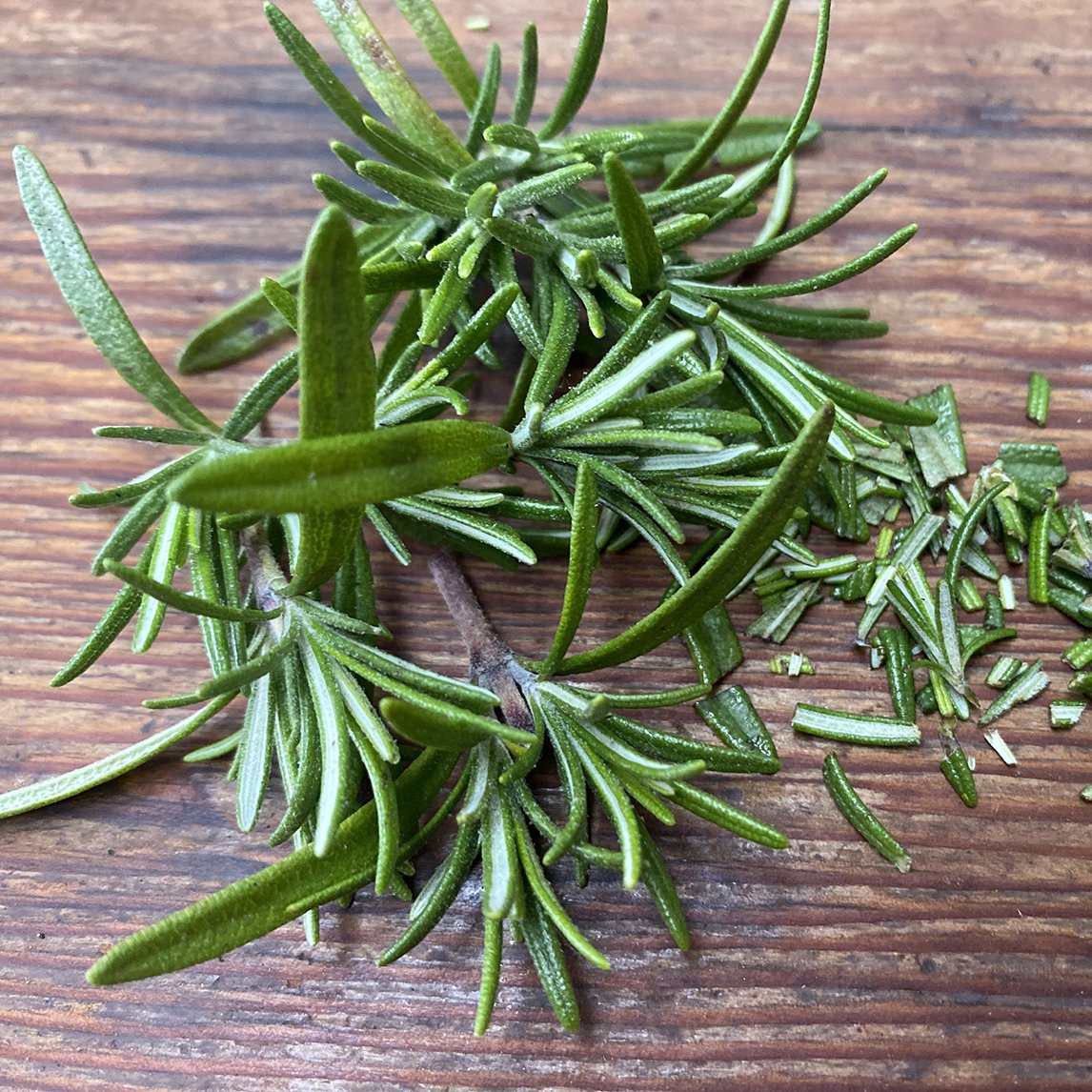 Rosemary 'Gorza'