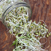 Complete Sprouts Kit - NT/TAS/WA